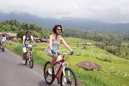 Paket Tour Bersepeda di Ubud
