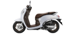 honda-scoopy-prestige